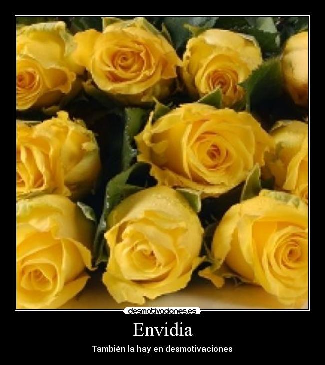 Envidia - También la hay en desmotivaciones