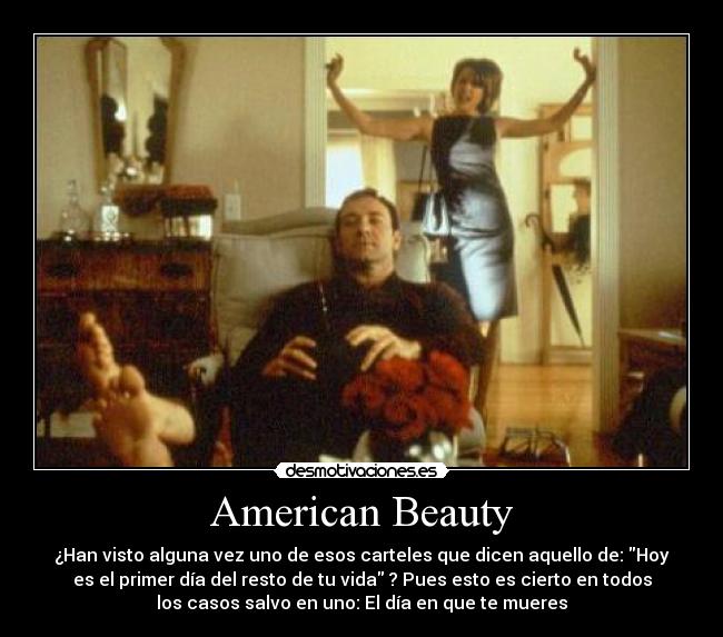 American Beauty - 