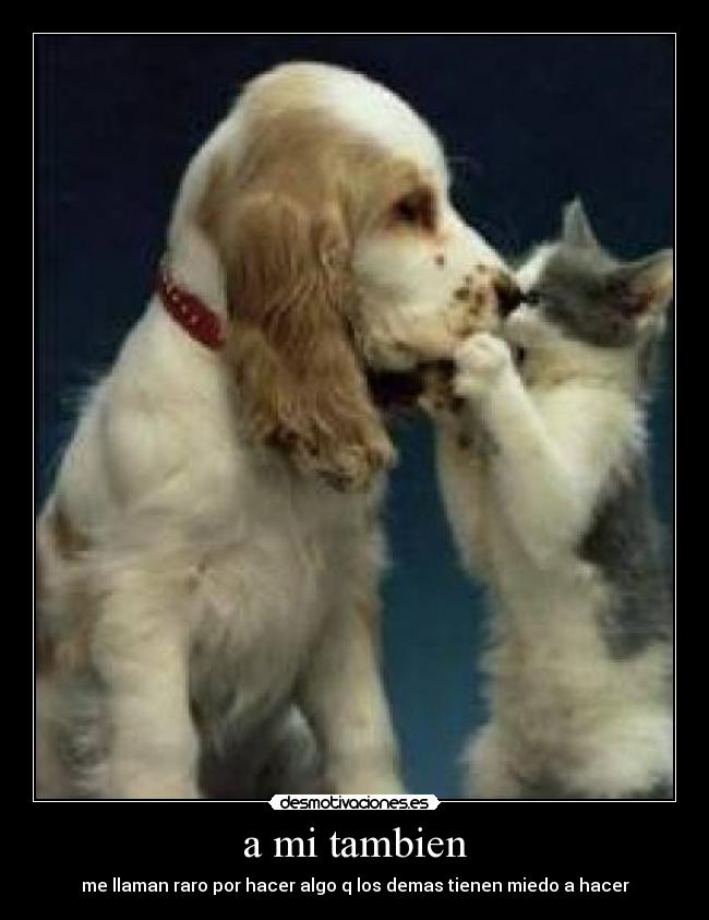 carteles pensamientos desmotivaciones