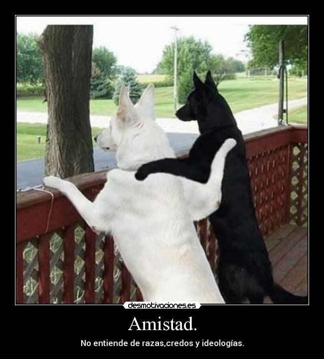 Amistad. - No entiende de razas,credos y ideologías.