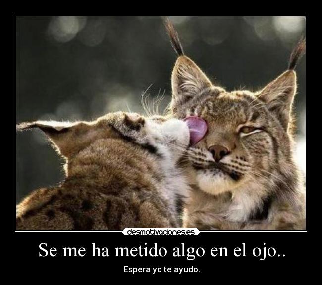 Se me ha metido algo en el ojo.. -