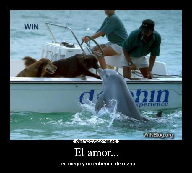 El amor... - ...es ciego y no entiende de razas