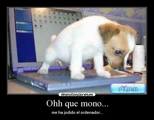 Ohh que mono... - me ha jodido el ordenador...