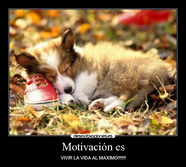 carteles motivacion vivir vida maximo desmotivaciones