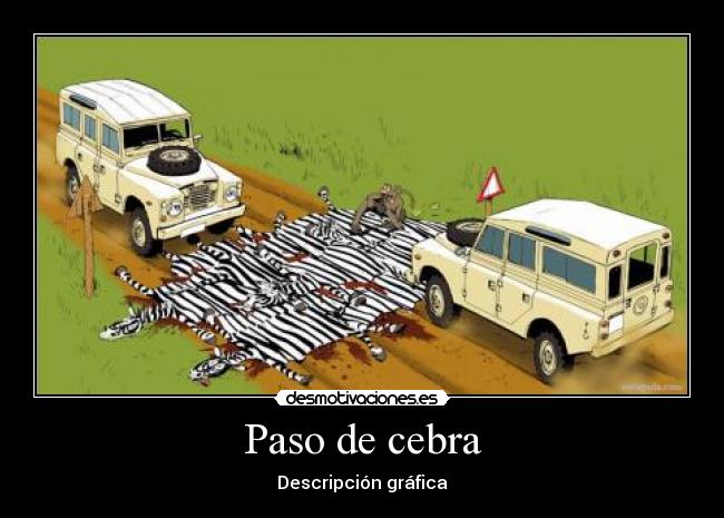 Paso de cebra - Descripción gráfica