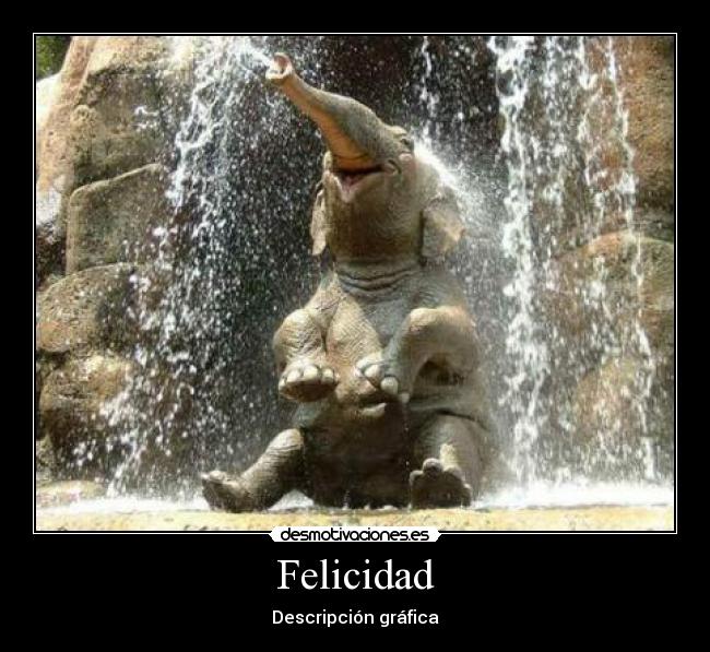 carteles felicidad felicidad desmotivaciones