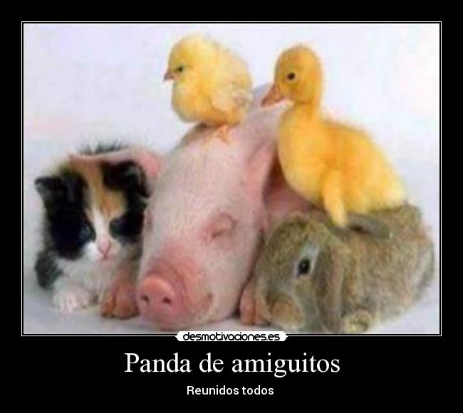 Panda de amiguitos - Reunidos todos 