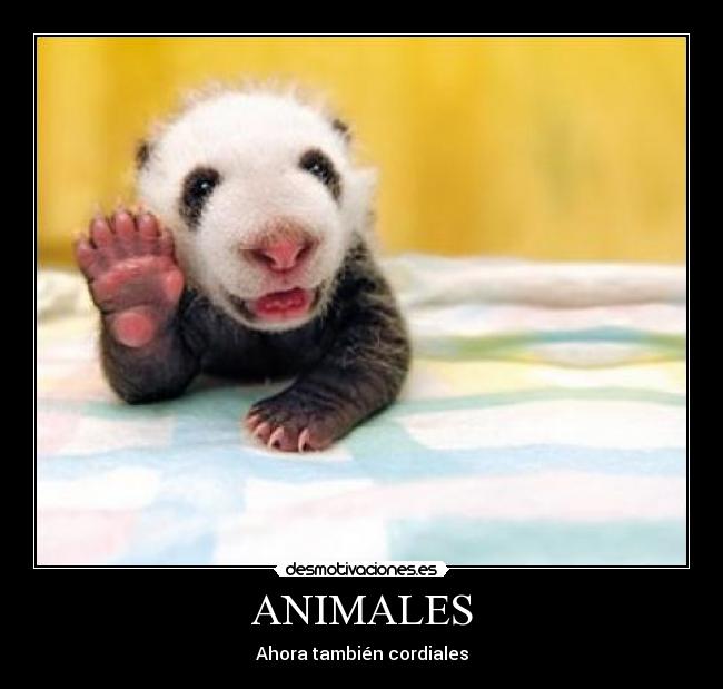 ANIMALES -
