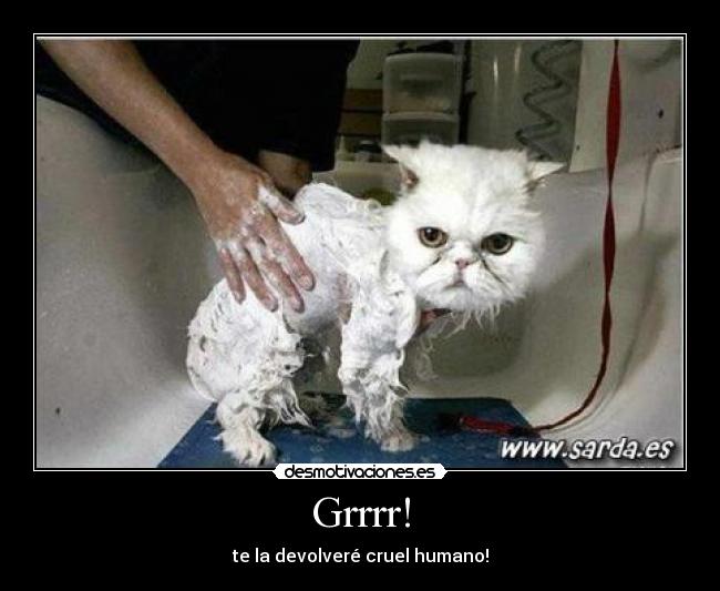 Grrrr! - te la devolveré cruel humano!