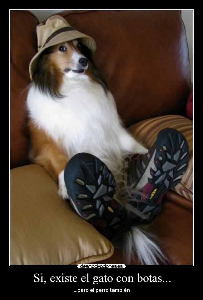 Si, existe el gato con botas... - ...pero el perro también