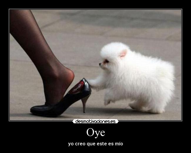 carteles tac desmotivaciones