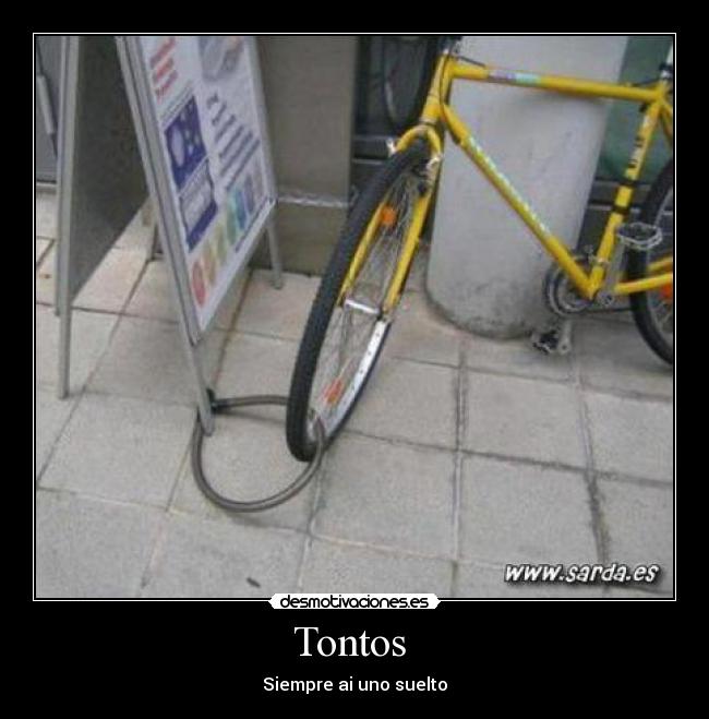 Tontos - Siempre ai uno suelto