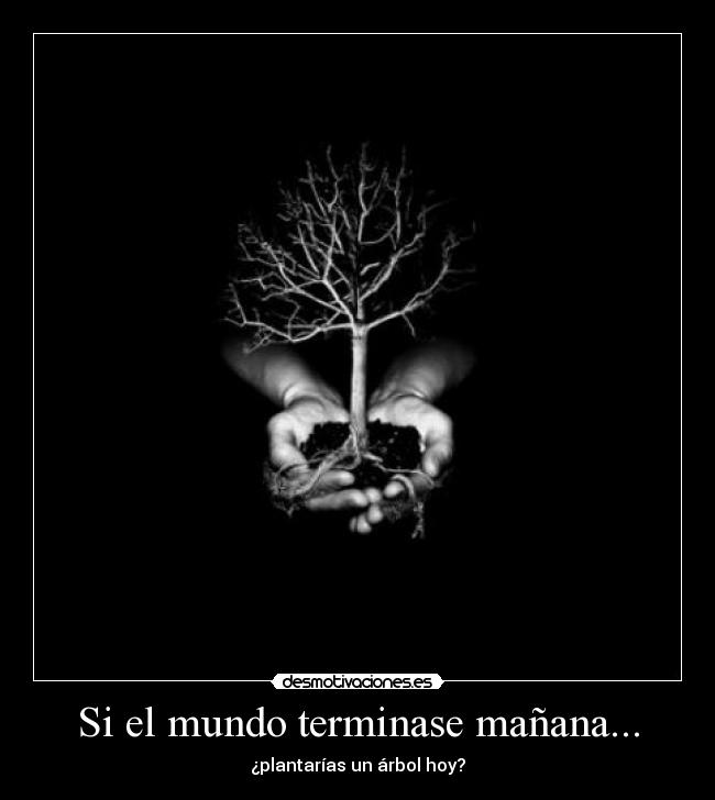 Si el mundo terminase mañana... - ¿plantarías un árbol hoy?