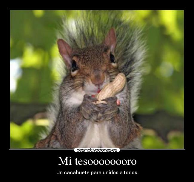 Mi tesoooooooro - Un cacahuete para unirlos a todos.