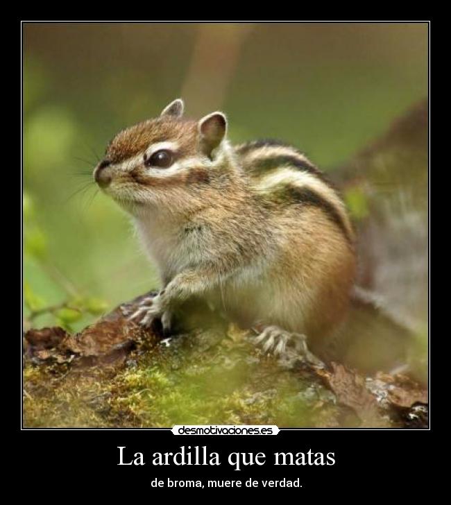 La ardilla que matas - 