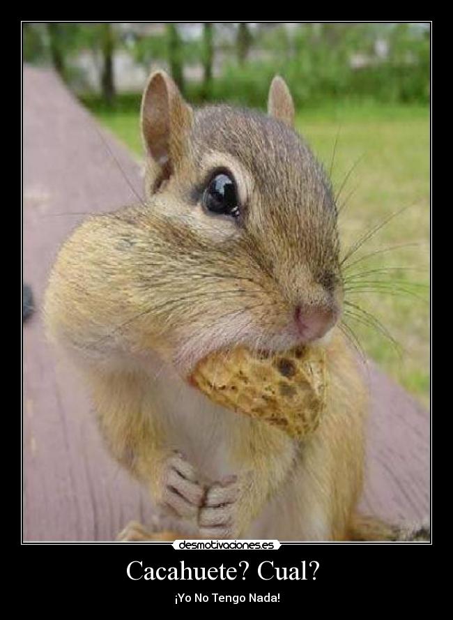 Cacahuete? Cual? -