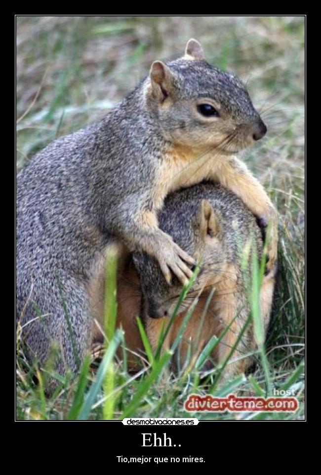 carteles ehh tiomejor que mires desmotivaciones