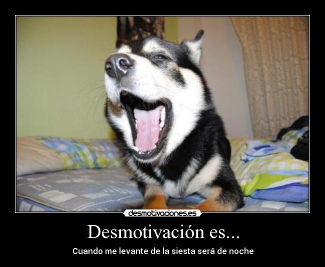 Desmotivación es... - Cuando me levante de la siesta será de noche