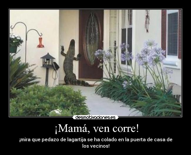 ¡Mamá, ven corre! -