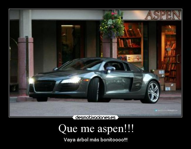 Que me aspen!!! - 