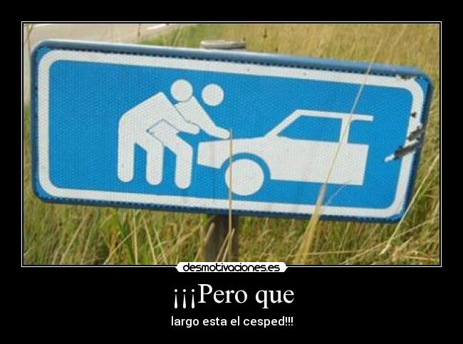 ¡¡¡Pero que - largo esta el cesped!!!