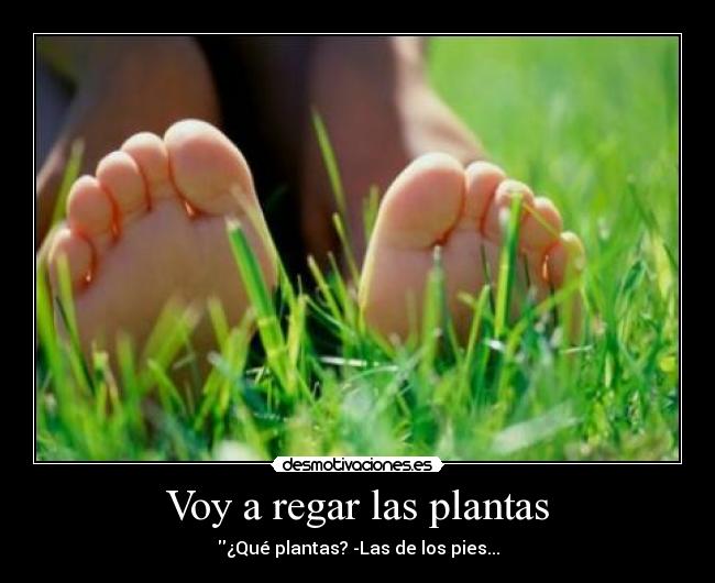 Voy a regar las plantas - ¿Qué plantas? -Las de los pies...