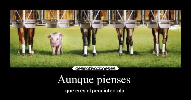 Aunque pienses  - que eres el peor intentalo !