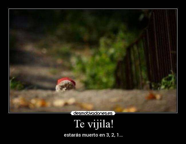 Te vijila! - estarás muerto en 3, 2, 1...