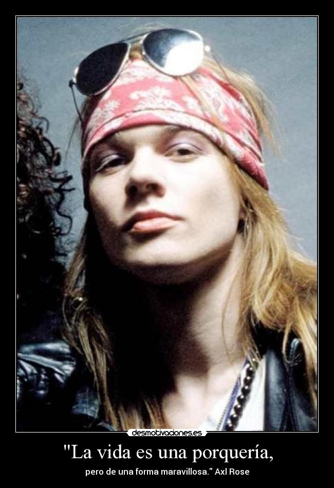 carteles vida axl rose vida porqueria maravillosa desmotivaciones