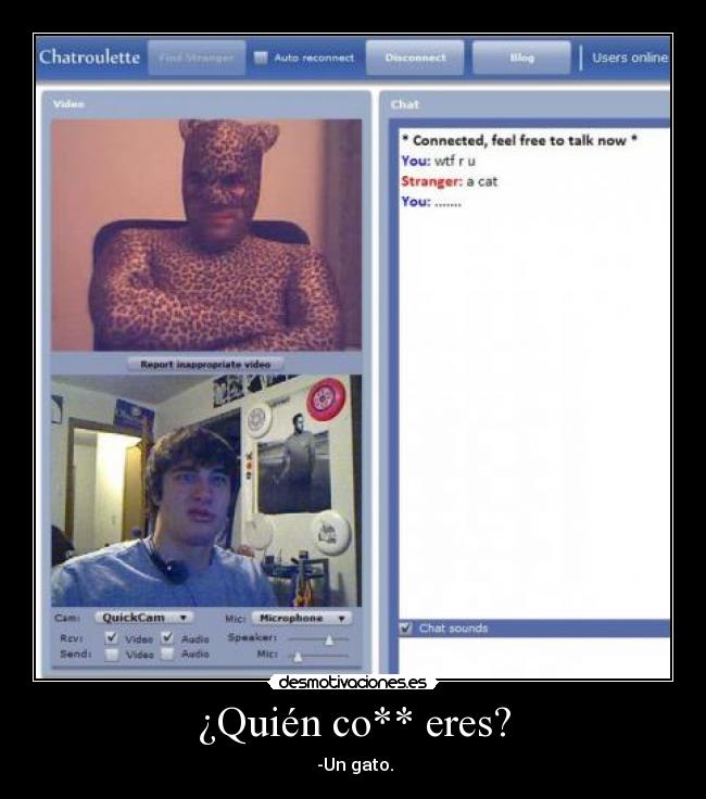 ¿Quién co** eres? -  -Un gato.