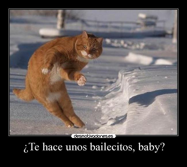 ¿Te hace unos bailecitos, baby? -