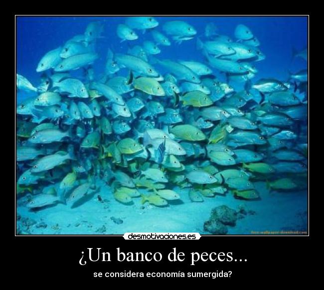 carteles banco peces economia sumergida desmotivaciones