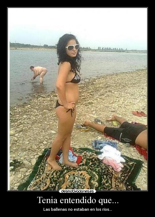 Tenia entendido que... - Las ballenas no estaban en los ríos...