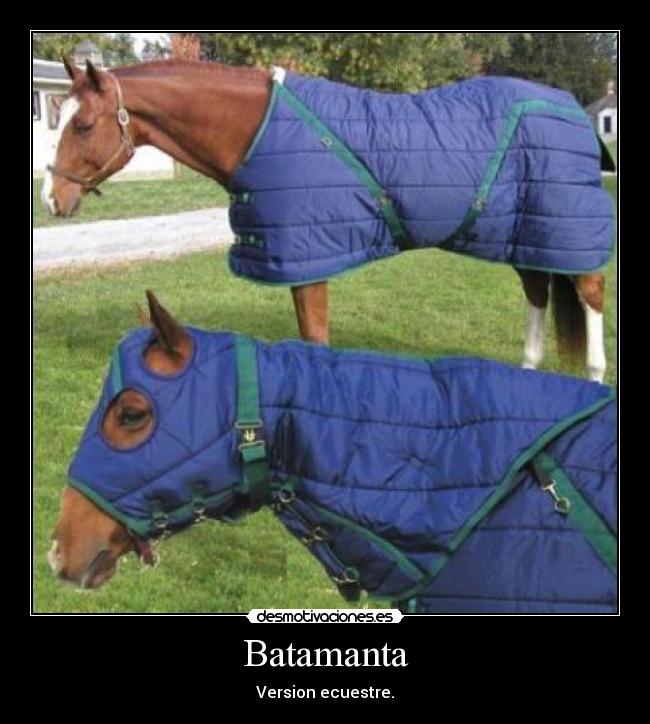 Batamanta - Version ecuestre.