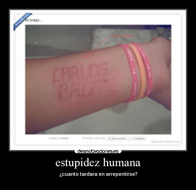 estupidez humana - 