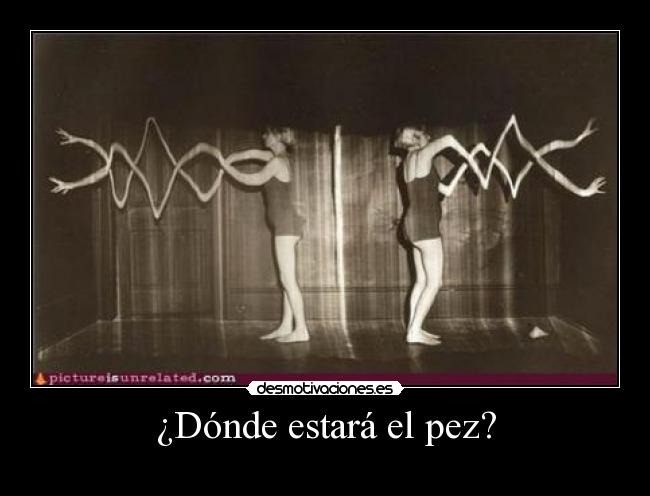 carteles monthy pyton pez sentido vida desmotivaciones