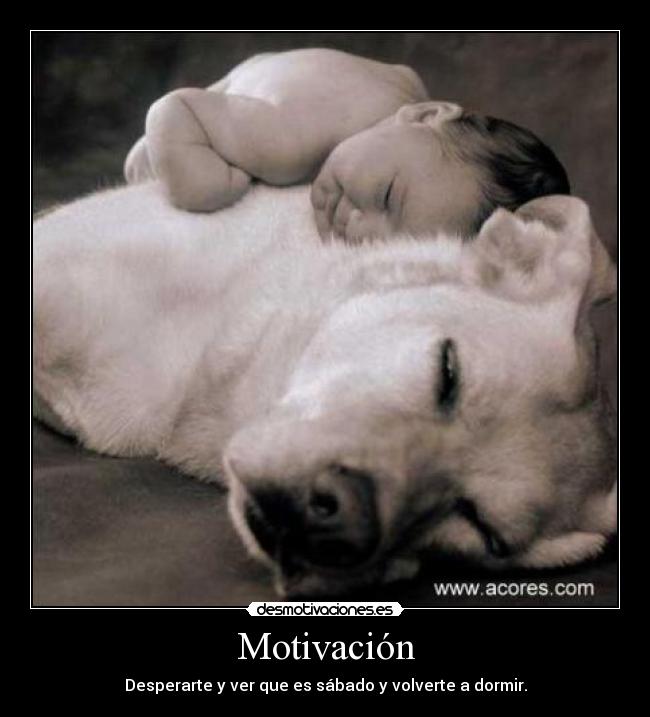 Motivación - Desperarte y ver que es sábado y volverte a dormir.