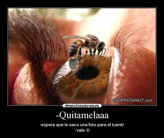 -Quitamelaaa - 