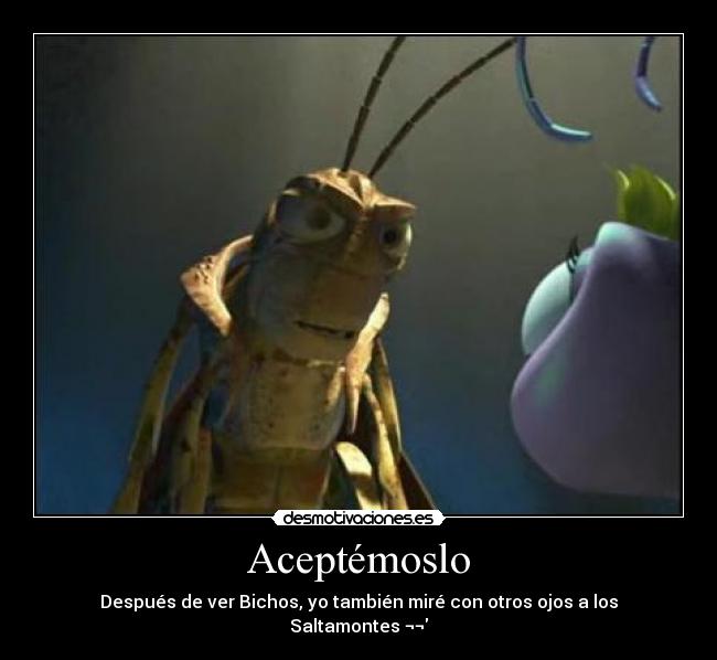 carteles bichos saltamontes desmotivaciones