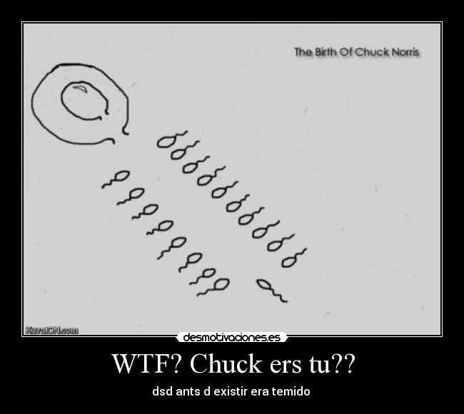 WTF? Chuck ers tu?? - dsd ants d existir era temido