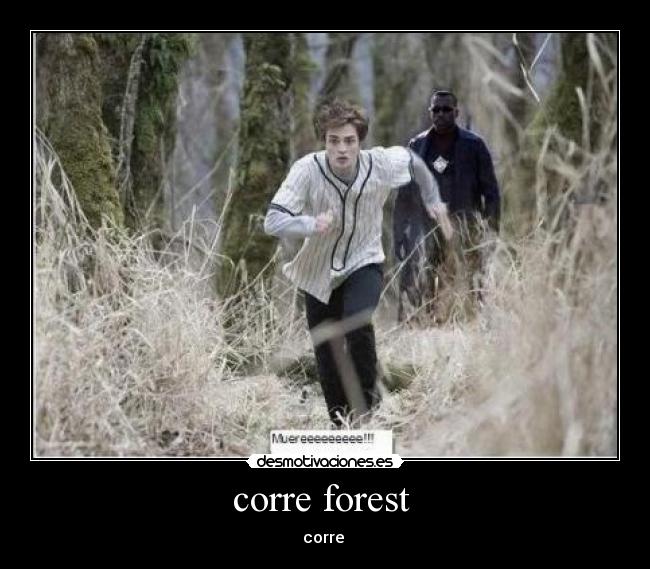 corre forest - corre