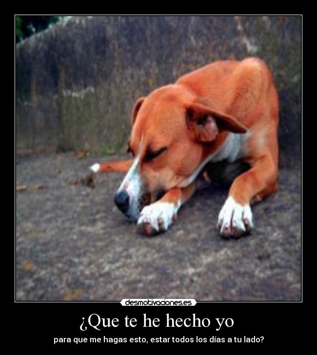 ¿Que te he hecho yo  - 