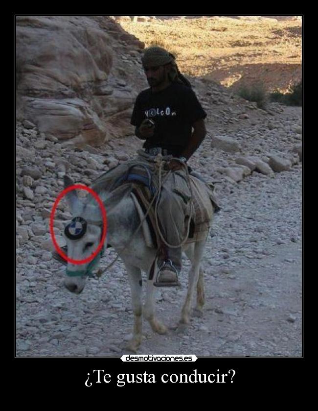 ¿Te gusta conducir? -