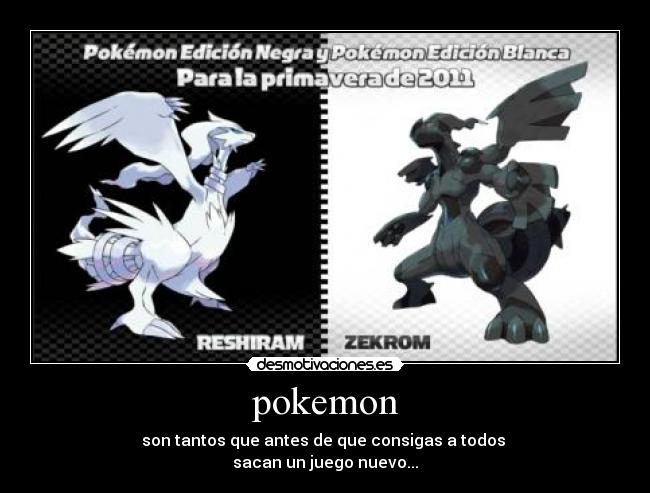 pokemon -