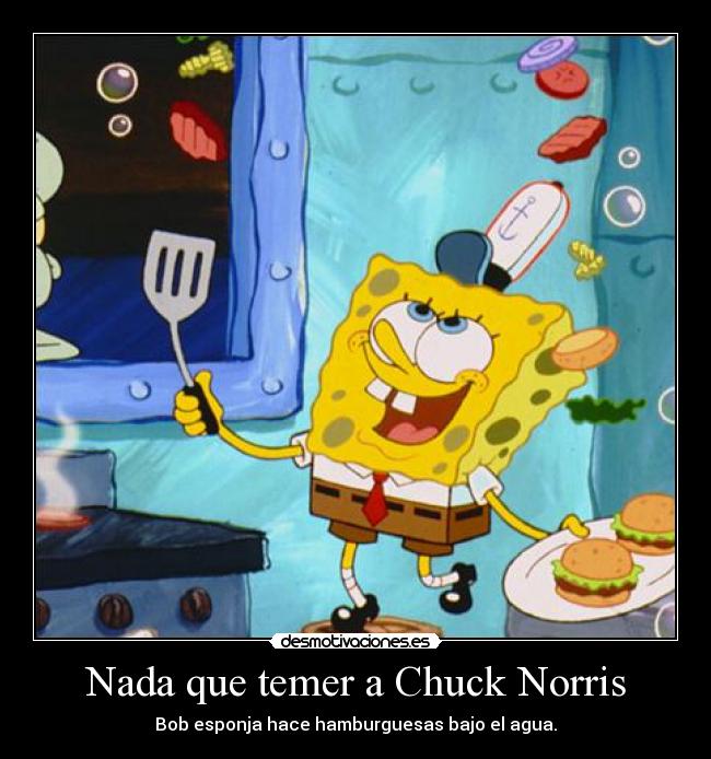 carteles bob esponja chuck norris desmotivaciones