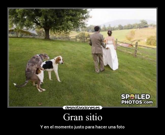 Gran sitio - Y en el momento justo para hacer una foto