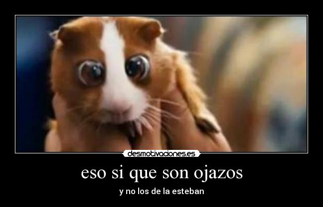 eso si que son ojazos - y no los de la esteban