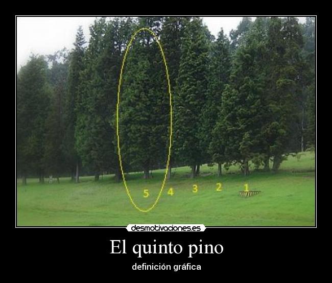 El quinto pino - definición gráfica