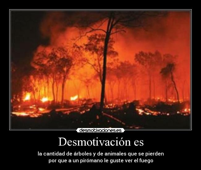 Desmotivación es - la cantidad de árboles y de animales que se pierden
por que a un pirómano le guste ver el fuego