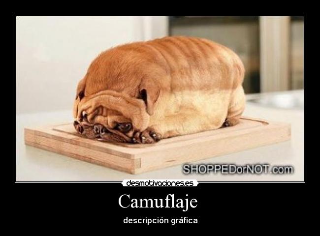 Camuflaje -